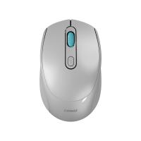 EVEREST SMW-87 GRI USB 2.4Ghz KABLOSUZ  MOUSE